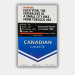 CANADIAN Lights