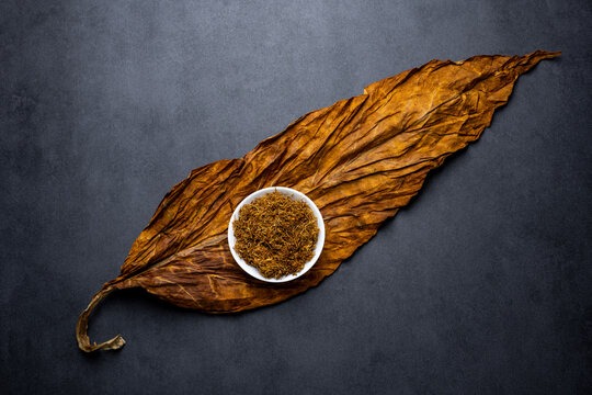 About_leaf