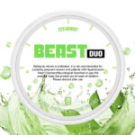 BEAST 20mg Spearmint & Citrus Chill Double