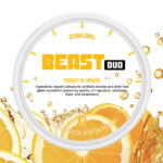 BEAST 20mg Spearmint & Citrus Chill Double
